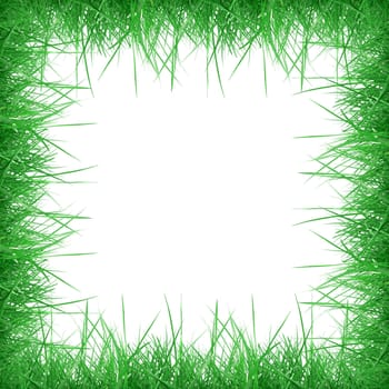 Grass frame with black copy space inside