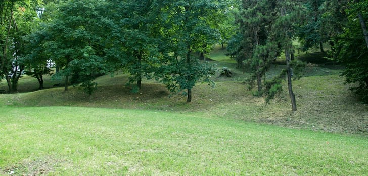 Green urban park with meadow and trees