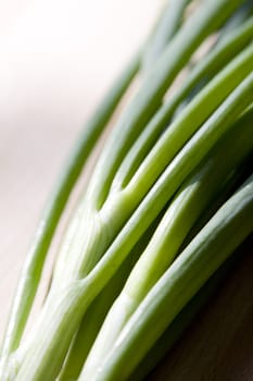 A bunch of fresh green spring onions