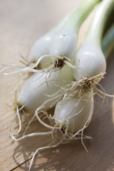 A bunch of fresh green spring onions