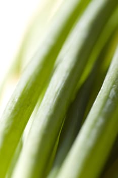 A bunch of fresh green spring onions