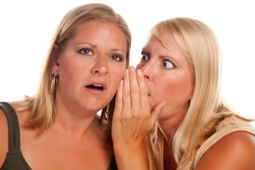 Two Blonde Woman Whispering Secrets Isolated on a White Background.