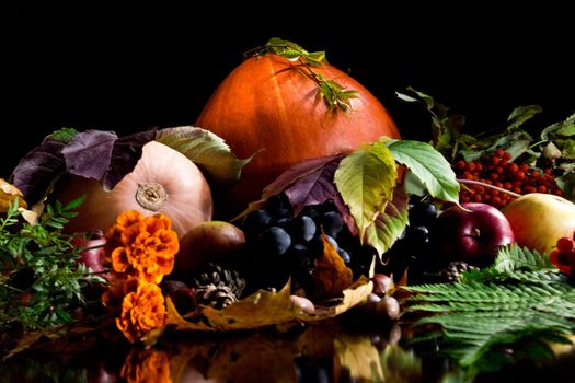 Autumn crop isolated on black