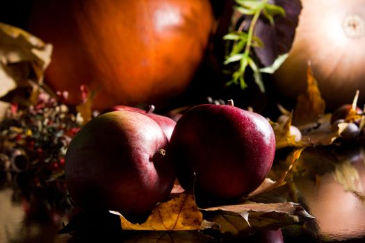 Autumn crop isolated on black