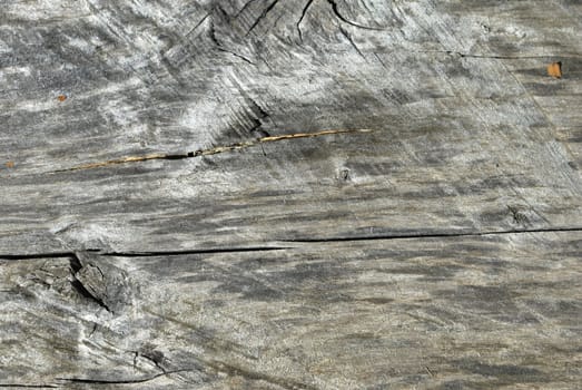 the old gray wood, texture