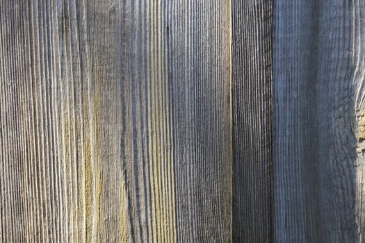 the old gray wood, texture