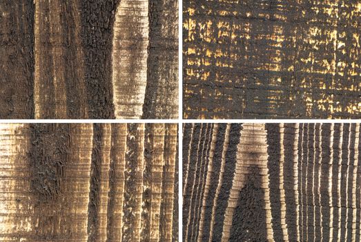 Here are four kinds of wood texture.