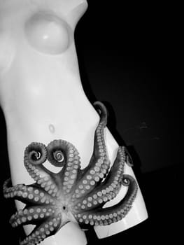 a mannequin with an octopus over the lower waist
