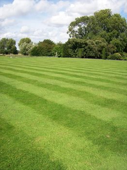 Photo of a striped lawn garden with trees in the distance