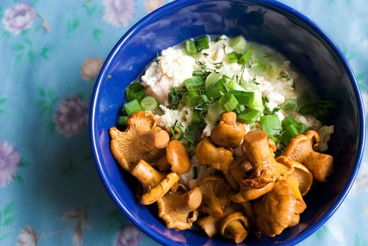 Honey agarics with omelette, green onions and fennel