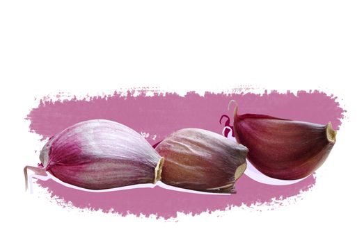 Garlic on violet background (with path)