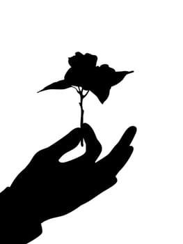 Illustrated hand presenting a flower