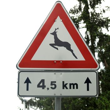 Sign of danger from wildlife such as deers and mooses