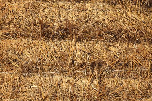 Close-up image of a pile of haystack.