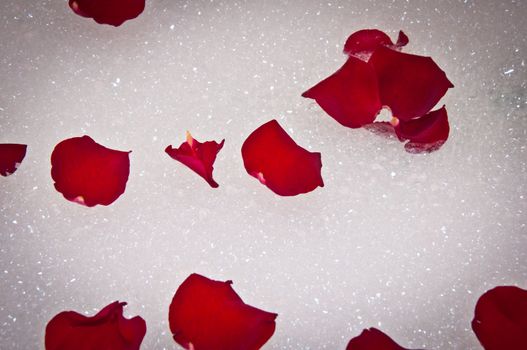Close-up of red rose petals sitting on top of bubbles in a bath tub.