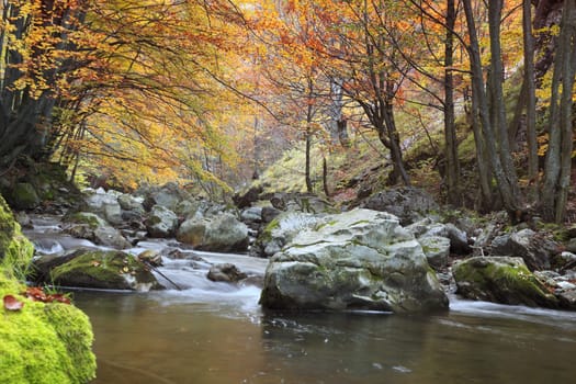 Beautiful autumn forest with a river in Ramet gorge,Transylvania,Romania.