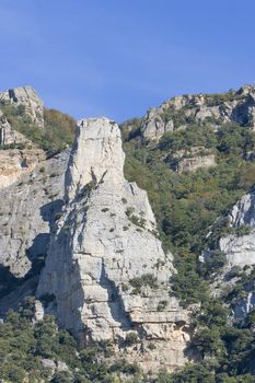 nature image of mountains an green trees and forest