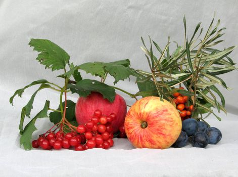 Berries and fruit on a background of a white curtain