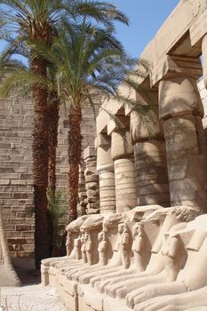 Various scenes of Luxor, in Egypt. Including the Karnak and Luxor Temple, Hatshepsut Temple and statues.