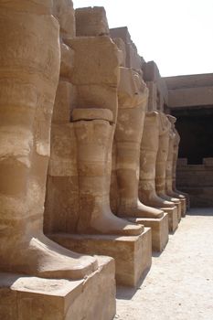 Various scenes of Luxor, in Egypt. Including the Karnak and Luxor Temple, Hatshepsut Temple and statues.