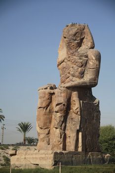 Various scenes of Luxor, in Egypt. Including the Karnak and Luxor Temple, Hatshepsut Temple and statues.