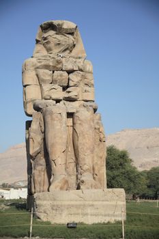 Various scenes of Luxor, in Egypt. Including the Karnak and Luxor Temple, Hatshepsut Temple and statues.