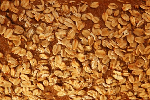 Cereal bread wheat texture macro detail background