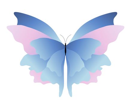 Illustration of a pink and blue butterfly on a white background