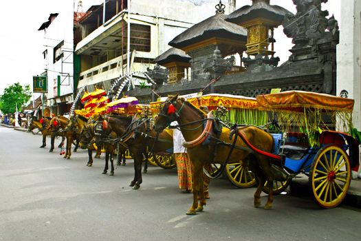 To enliven the Gajah Mada Town Festival that is carried out on December 28-30, 2008 in Denpasar, Bali, these cabriolets were decorated to attract more tourists.