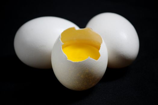 white eggs isolated in dark backgroun