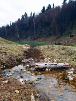 Spring in forest, area lake Sarva, Bashkortostan, Russia