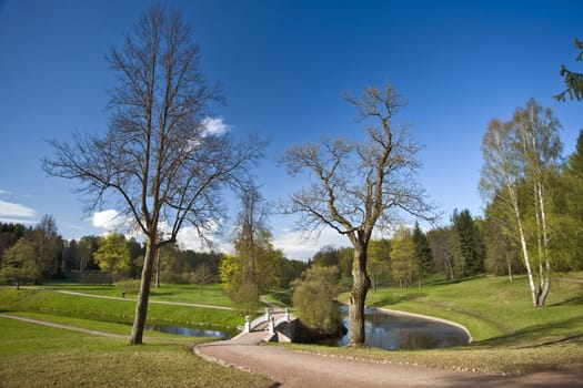 Bridge with vases and spring trees in the park