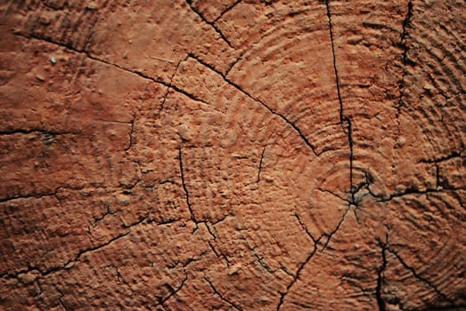 Wooden texture.