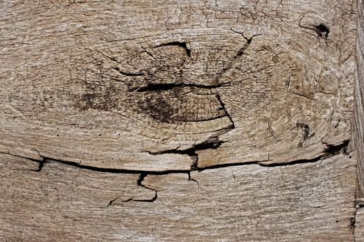 Fragment of old wooden cutting board. Close Up