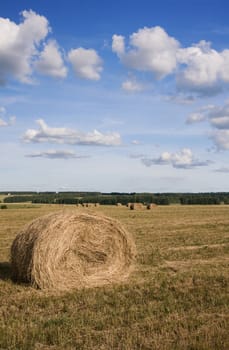 haystack on the meadow in summer