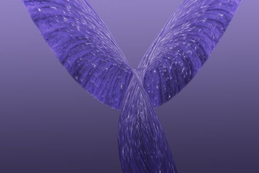 conceptual created in photoshop can be angel wings or whale tail but it is whatever your eyes make it