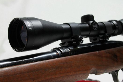 Gun sight from Winchester rifle
