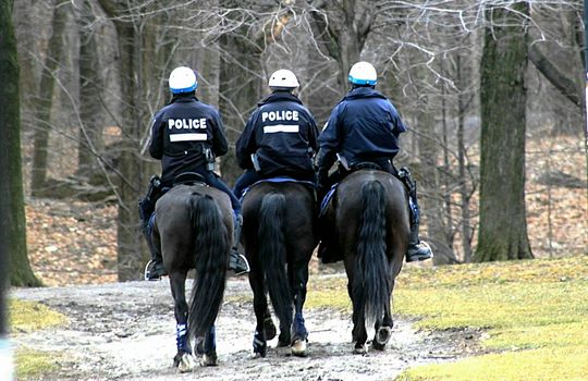 Police on horseback patrolling a park