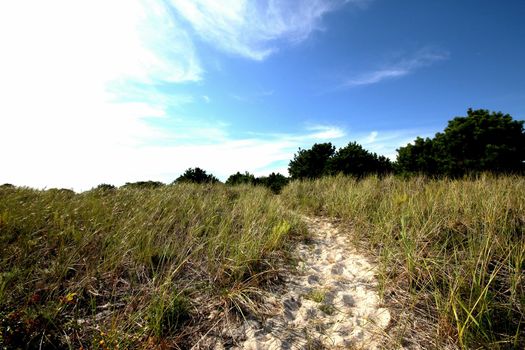 Beach path on shoreline in Maine