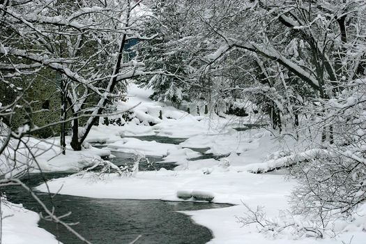 River bank after a snowstorm in the Eastern Townships