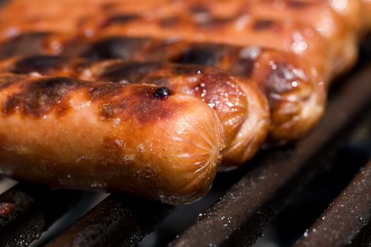 hotdogs on the grill outdoor on a small grill