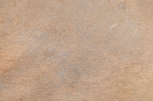 a camel skin textrue background or abstract