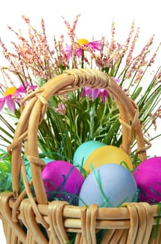 Easter colored eggs in the basket on the white background 