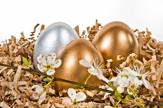 Golden and silver eggs in the nest.