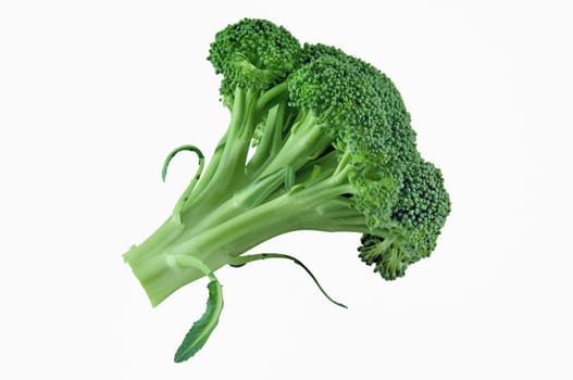 Fresh green broccoli Isolated on a white background.
