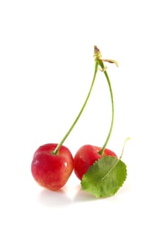 Cherries