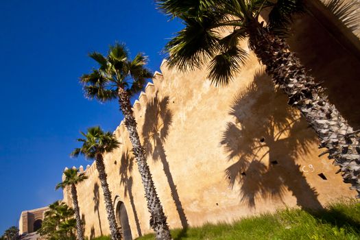 Rabat's ancient kasbah wall surrounded with palm trees