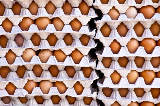 Eggs in a card case selling at the local market