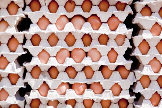 Eggs in a card case selling at the local market