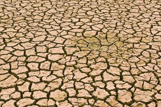 Close up shot of the dry soil.